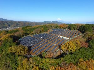 Solar Farm